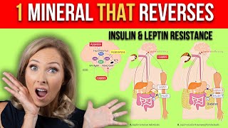 1 Mineral That Reverses Insulin and Leptin Resistance  Dr Janine [upl. by Souza]