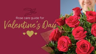 Flower care guide  Valentines Day [upl. by Charmian850]