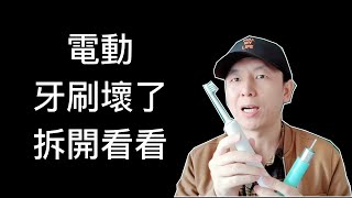 電動牙刷为什么容易坏暴力拆解（3分52秒）「頻道正式定名」 [upl. by Servais805]