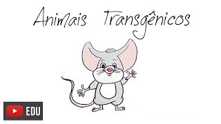 Como são feitos os animais transgênicos  InstanteBiotec 07 [upl. by Eatnwahs]