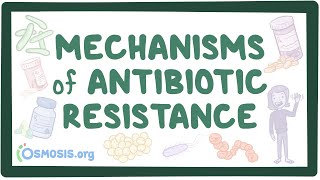 Mechanisms of antibiotic resistance [upl. by Niamrej346]