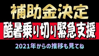 【酷暑乗り切り緊急支援】【補助金】 燃料費調整額の推移 [upl. by Noelc939]