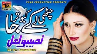 CHHAITE BOORIEN VE TABIBA  SAIMA  PAKISTANI FILM MAJAJAN [upl. by Lemmueu]