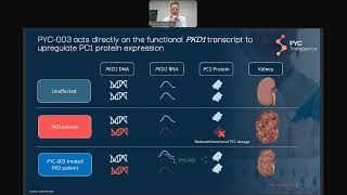 PYC Investor Presentation of PYC 003 ADPKD Drug Safety amp Efficacy on 28 Nov 2024 [upl. by Niko149]