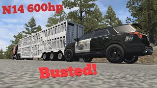 ATS Illegal Trailer in Yosemite N14 powered K100 [upl. by Yesmar]