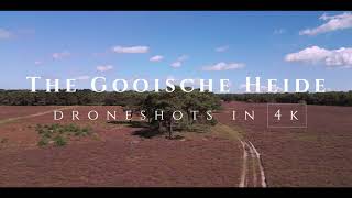 Gooise Heide Hilversum in 4k  Drone video [upl. by Shank]