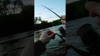 жерех на rigge 56s fishing жерех argument спиннинг [upl. by Lars]