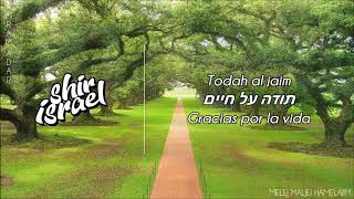 Melej maljei hamlajim מלך מלכי המלכים  Amram Adar עמרם אדר  ESPAÑOL [upl. by Elfie]