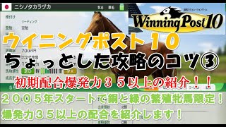 ウイニングポスト１０【ちょっとした攻略のコツ③】母系インブリード＆初期配合＆爆発力３５以上の初期配合紹介！ [upl. by Noirda]