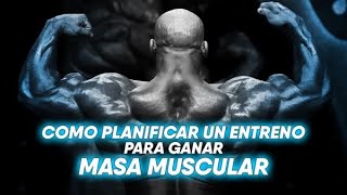 Cómo planificar un ENTRENAMIENTO para GANAR MASA MUSCULAR  Principiantes Intermedios y Avanzados [upl. by Assilim]