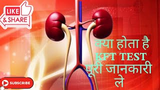 KFT Test in hindi puri jaankari What is kft test 🤷 [upl. by Ydnor12]