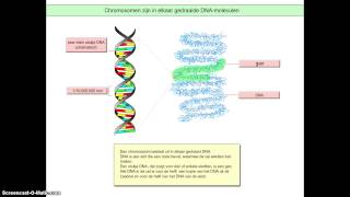 Bioplek chromosomen DNAgen [upl. by Er143]