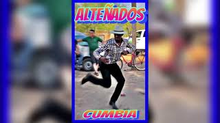 🔹Cumbias Alteñadas Vol 2 🔷 [upl. by Hildy]