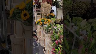 Sunday flower market at Columbia Road Hoxton Londonflowermarket beautifulflowers london love [upl. by Russo]