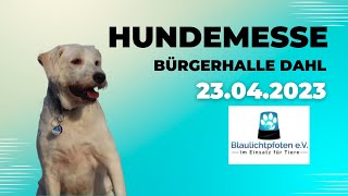 Hundemesse 23423  Der Kaufhaus Dog  Bürgerhalle Dahl [upl. by Hortensia]