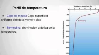 PERFILES  TEMPERATURA EN LOS OCEANOS [upl. by Evie321]