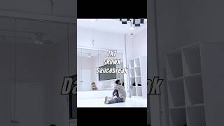 TXTbighit ‘CROWN’ Dancebreak Mirrored Dance Tutorial kpop txt CROWN [upl. by Jacobah]