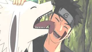 Kiba Inuzuka  La La La La [upl. by Lattonia]