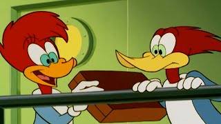 Woody Woodpecker  Winnie Saves Woody  More Full Episodes [upl. by Eico]