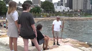 Things to do in Sydney Barangaroo Reserve [upl. by Conrad924]