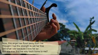 Heaven knows by Orange and Lemons acoustic cover fingerstyle guitar tabs tutorial chords pluck [upl. by Aehsila]