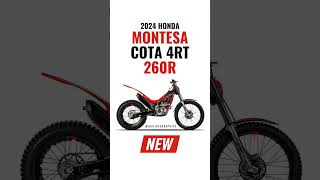 2024 Honda Montesa Cota 4RT 260R Revealed 🔥 [upl. by Rocray]