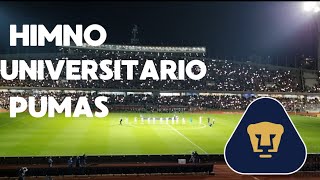 Himno Universitario Pumas vs Chivas [upl. by Kaja]