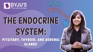 The Endocrine System  Pituitary Thyroid And Adrenal Glands  Class 10  Learn With BYJUS [upl. by Asirrom]