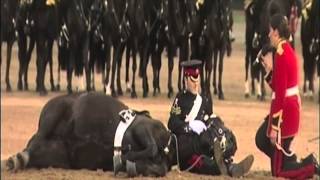 Beating Retreat 2013 The Household Cavalry Mounted Band [upl. by Richela]