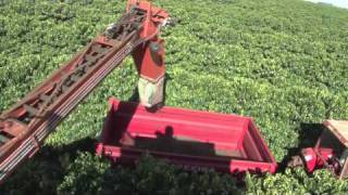 EFICO TRADE BRAZIL  PICKING METHODS  MACHINES [upl. by Arabrab]