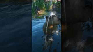 Adorable Capybara in Planet Zoo Console Edition capybara planetzoo ps5 [upl. by Aylad]