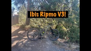 Ibis Ripmo V3 Short Term Review [upl. by Enutrof]