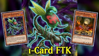 1Card Combo Predaplant Ophrys Scorpio 1Card and cost FTK YuGiOh Duel Links [upl. by Jandy549]