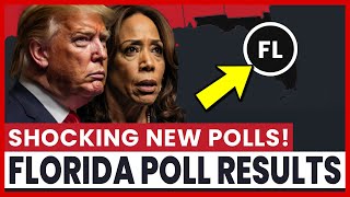 Florida Poll Results OCTOBER 1214 Donald Trump vs Kamala Harris 2024 US Election [upl. by Quickman129]