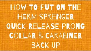 Herm Sprenger Pinch collar with Quick release [upl. by Leiram]