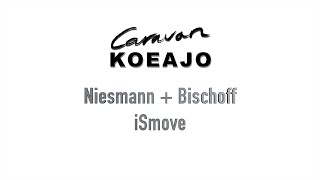 Caravan Koeajo Niesmann  Bischoff iSmove 4K [upl. by Akenor]