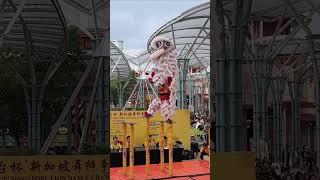 2024 Kweichow Moutai Cup Singapore Lion Dance [upl. by Mor]