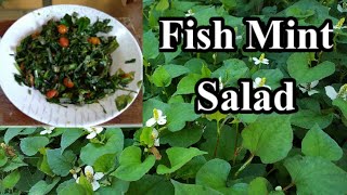 Houttuynia Cordata Salad  How To Make Fish Mint Salad [upl. by Terchie944]