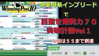 【ウイニングポスト10】目指せ爆発力７０突破！多重母系インブリードで爆発力７０突破配合計画PART1【winning post 10】 [upl. by Drucilla]