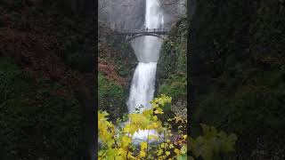 Waterfalls so relaxing amp tranquil nature tranquillity [upl. by Idram]