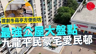 一線搜查｜最強公屋大盤點 九龍平民豪宅愛民邨 多元化幸福設施 首創冬菇亭方便街坊 沙田瀝源邨 屯門新翠邨 絕美設計｜604集｜有線新聞 林希靈｜中國海外呈獻：一線搜查｜HOYTV [upl. by Sokin]