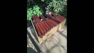 MARIMBA DE PALISANDRO BOLIVIANO MORADILLO [upl. by Dyraj964]