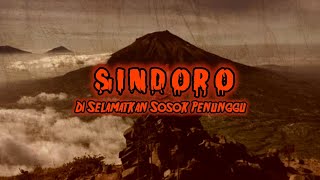 DISELAMATKAN SOSOK BERJUBAH PUTIH❗️CERITA MISTIS PENDAKIAN GUNUNG SINDORO [upl. by Mccreery173]