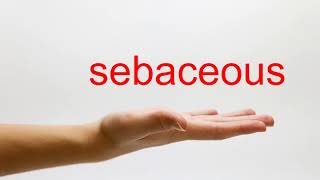 How to Pronounce sebaceous  American English [upl. by Segal]