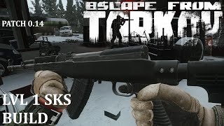 Escape From Tarkov Lvl 1 SKS Build 014 Patch [upl. by Nidnal]