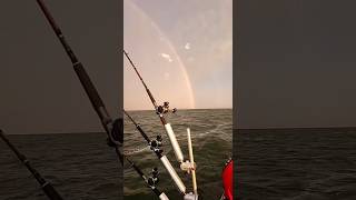 Walleye fishinglakelakefishingwalleyeboaboatfishing [upl. by Siclari]