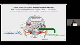 Professor Hubert Lim Speaking about Lenires Bimodal Neuromodulation [upl. by Anatlus]