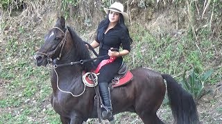 Cabalgata en Caicedonia Fiestas Aniversarias 108 Años [upl. by Yeltihw]