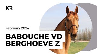 BABOUCHE VD BERGHOEVE Z [upl. by Dnumyar]