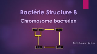 Bactérie Structure 8 MATERIEL GENETIQUE  CHROMOSOME BACTERIEN sans musique de fond [upl. by Novrej162]